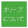 オリーブ.png